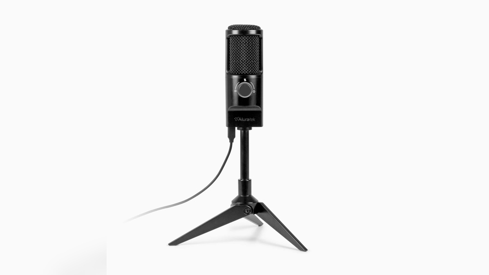 What are the Main Features of a Microphone